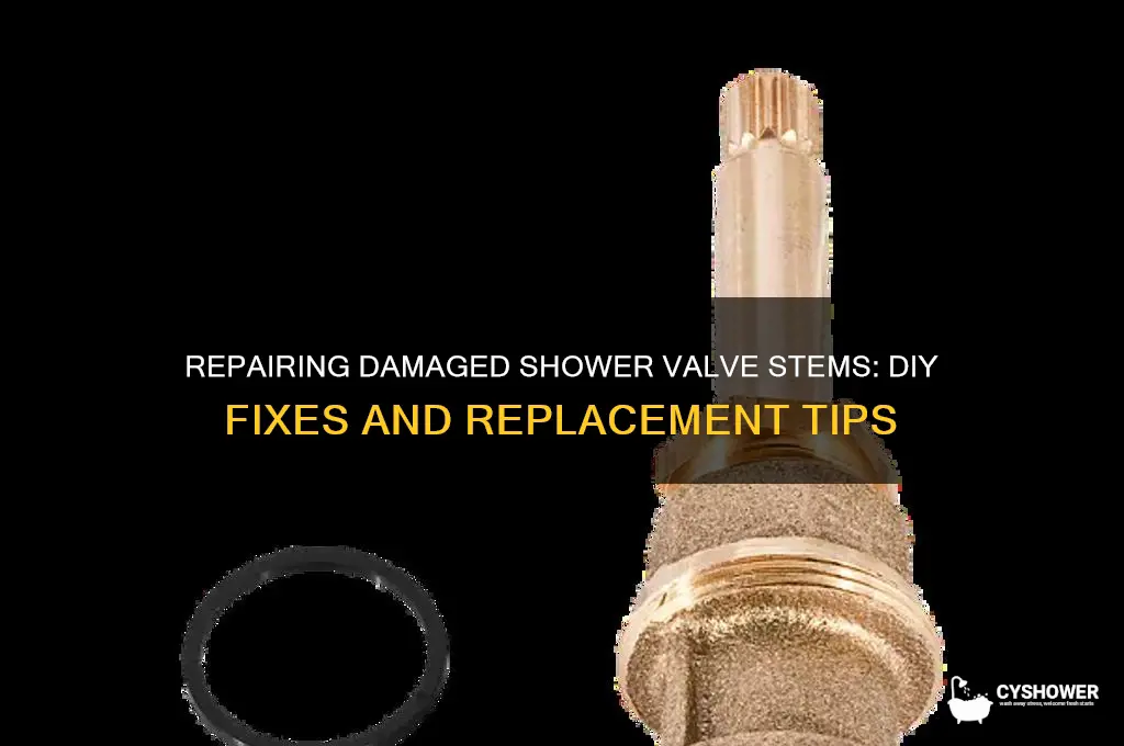 can you repair damaged valve stem for shower