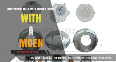 Delta to Moen: Can You Replace Your Shower Faucet?