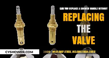 Replacing a Shower Handle Without Changing the Valve: Is It Possible?