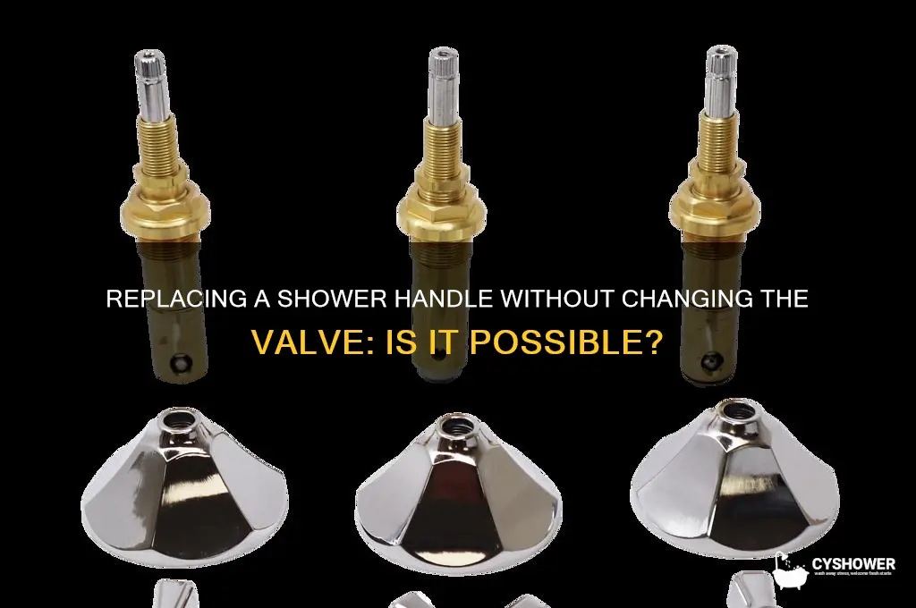 can you replace a shower handle without replacing the valve