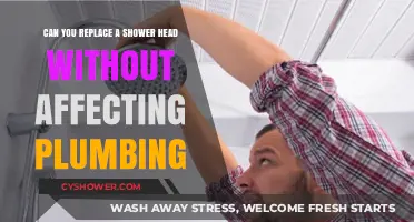 Replacing a Shower Head: Simple DIY or Plumbing Risk?