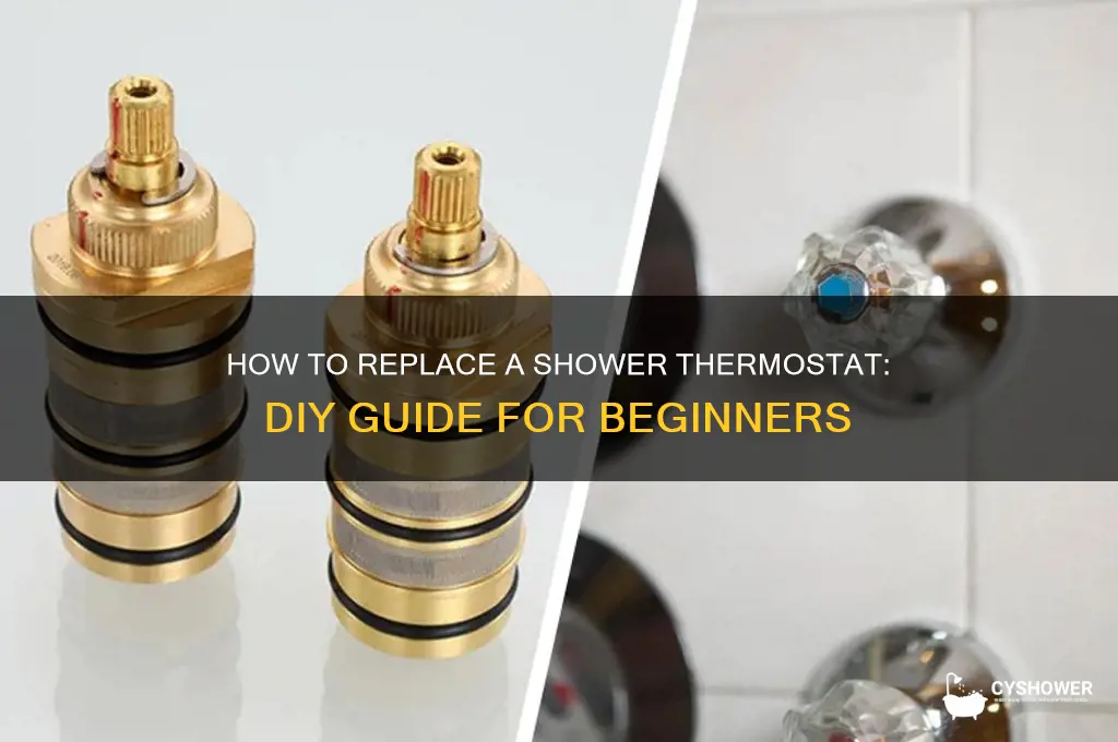 can you replace a thermostat in a shower