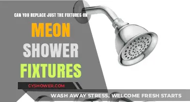 Replacing Meon Shower Fixtures: Can You Upgrade Just the Fixtures?