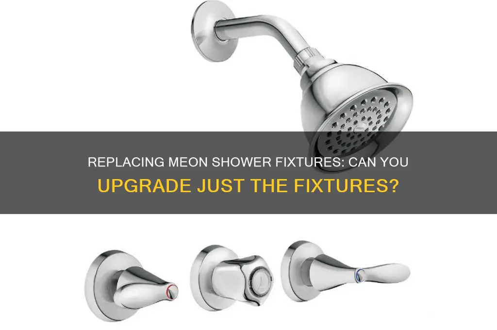 can you replace just the fixtures on meon shower fixtures