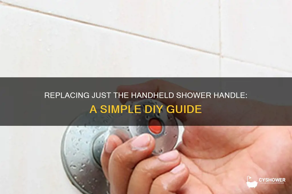 can you replace just the hand held shower handle