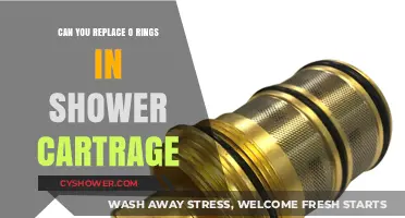 How to Replace O-Rings in Your Shower Cartridge: A DIY Guide