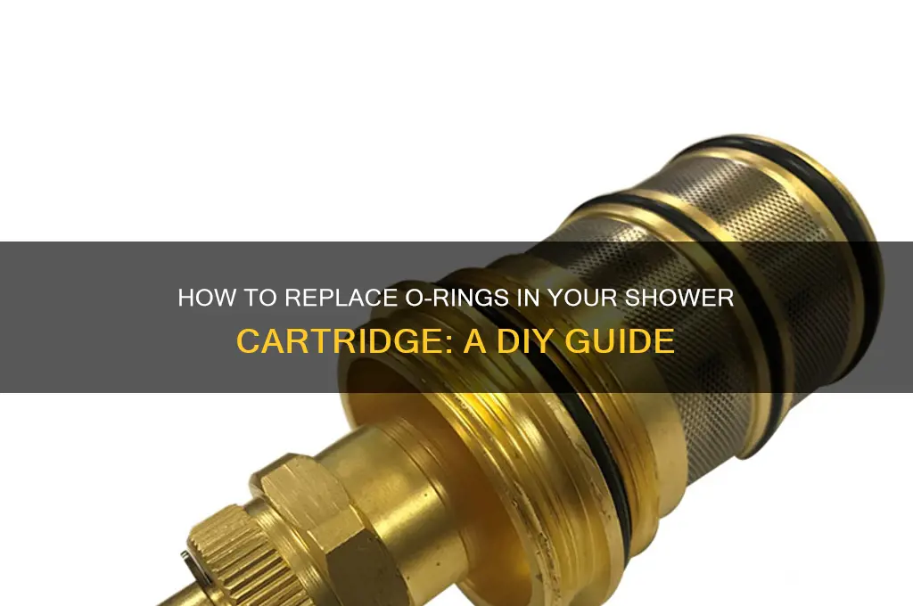 can you replace o rings in shower cartrage