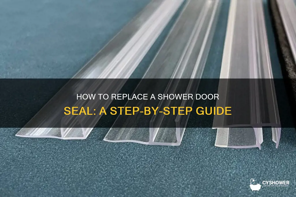 can you replace seal on shower door