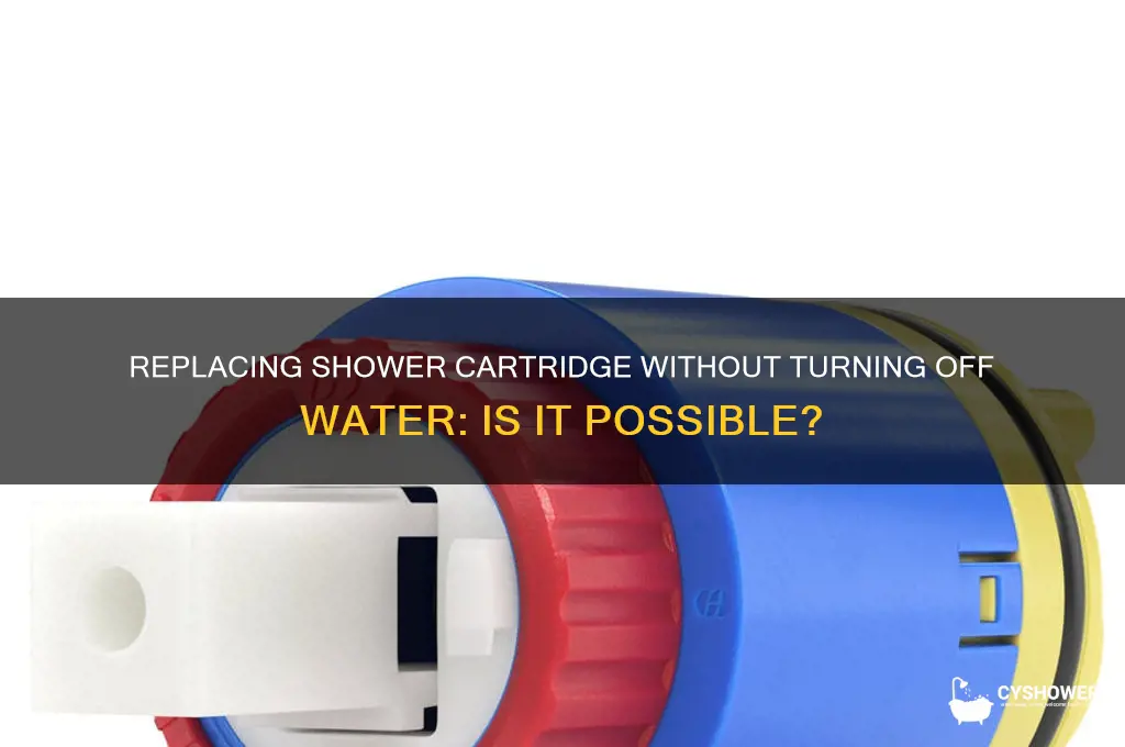 can you replace shower cartridge without turning off water
