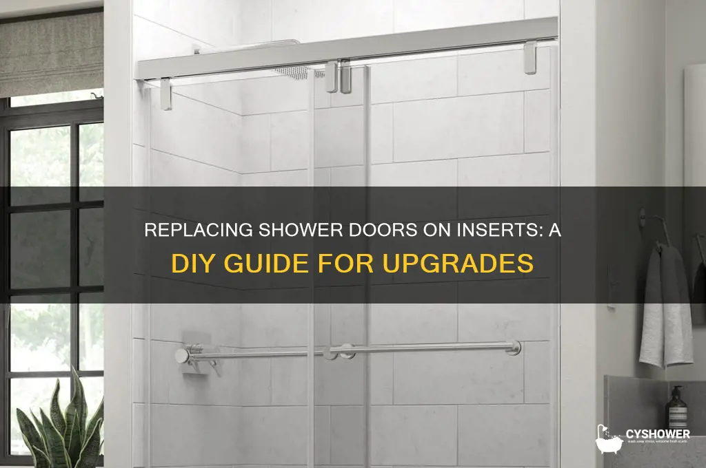can you replace shower doors on a shower insert
