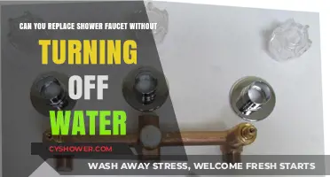 Replacing Shower Faucet Without Turning Off Water: Is It Possible?
