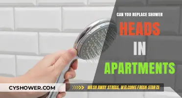 Replacing Shower Heads in Apartments: A Simple DIY Upgrade Guide