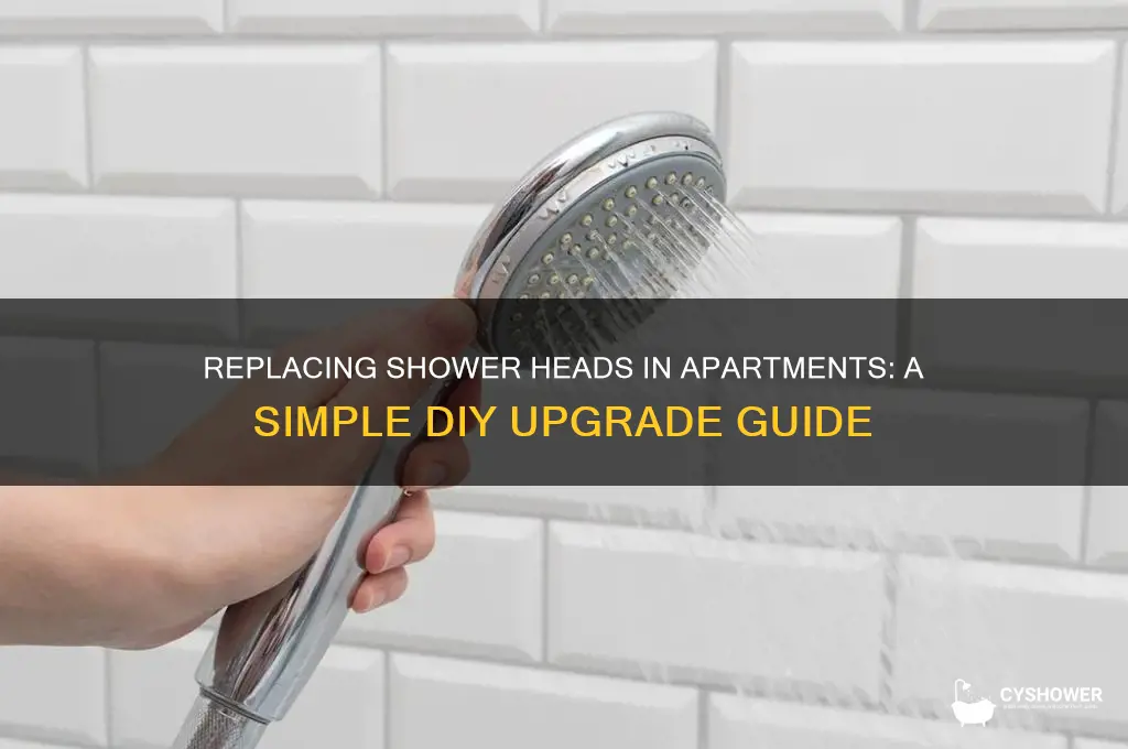 can you replace shower heads in apartments