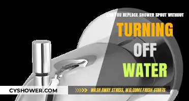Replacing a Shower Spout Without Shutting Off Water: Is It Possible?