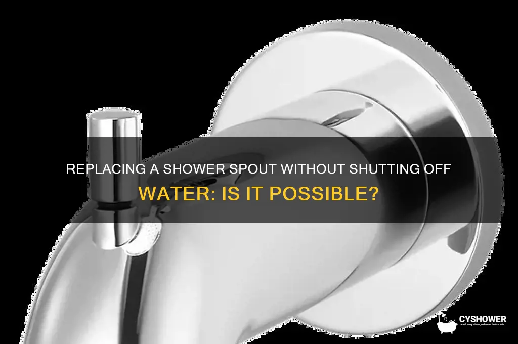 can you replace shower spout without turning off water