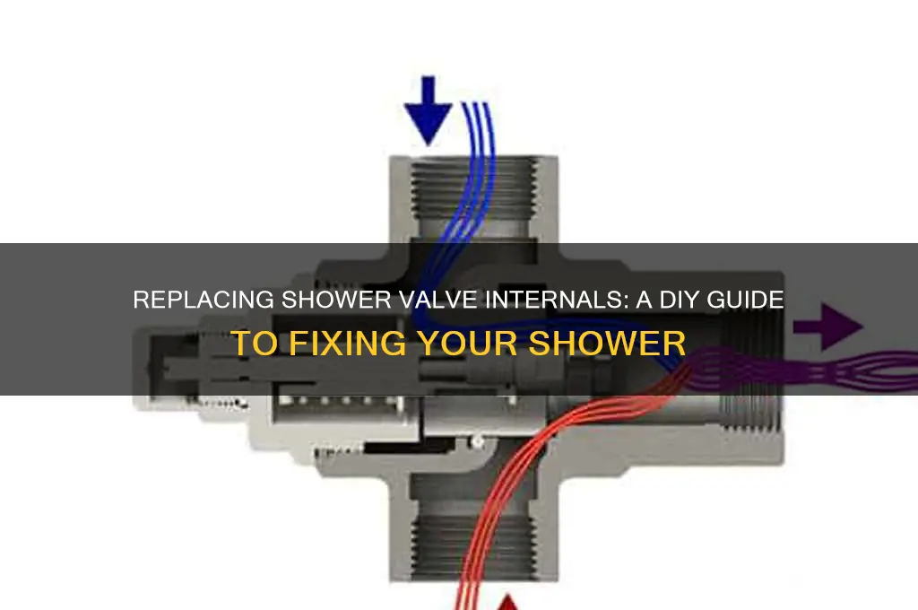 can you replace the inside of the shower valve