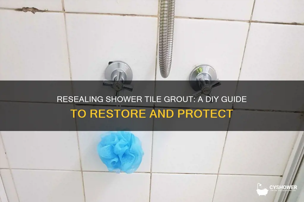 can you reseal shower tile grout