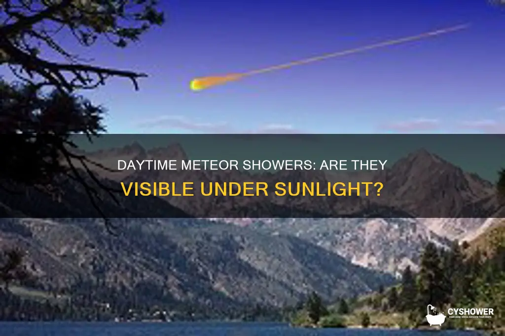 can you see a meteor shower during the day
