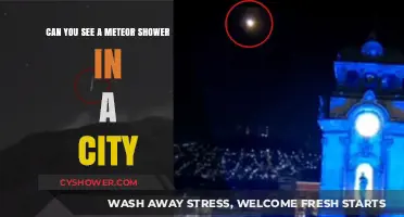 Urban Stargazing: Spotting Meteor Showers in City Lights