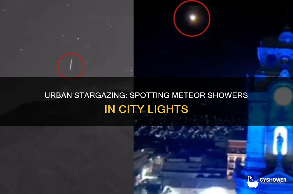 can you see a meteor shower in a city