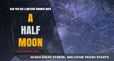 Half Moon Meteor Shower: Can You Spot Shooting Stars?