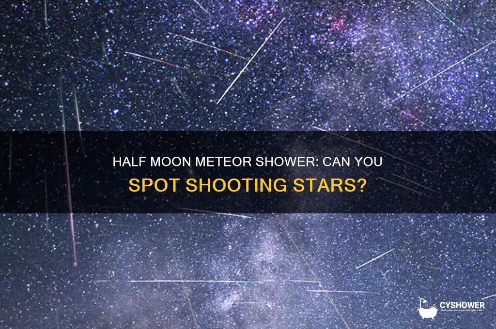 can you see a meteor shower with a half moon