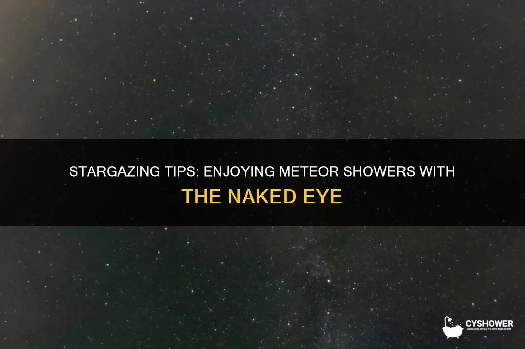 can you see a meteor shower without a telescope