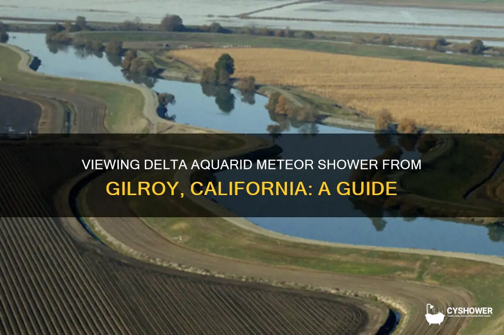 can you see delta aquarid meteor shower from gilroy ca