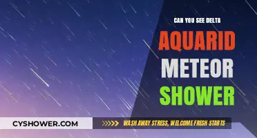 How to Spot the Delta Aquarid Meteor Shower This Year