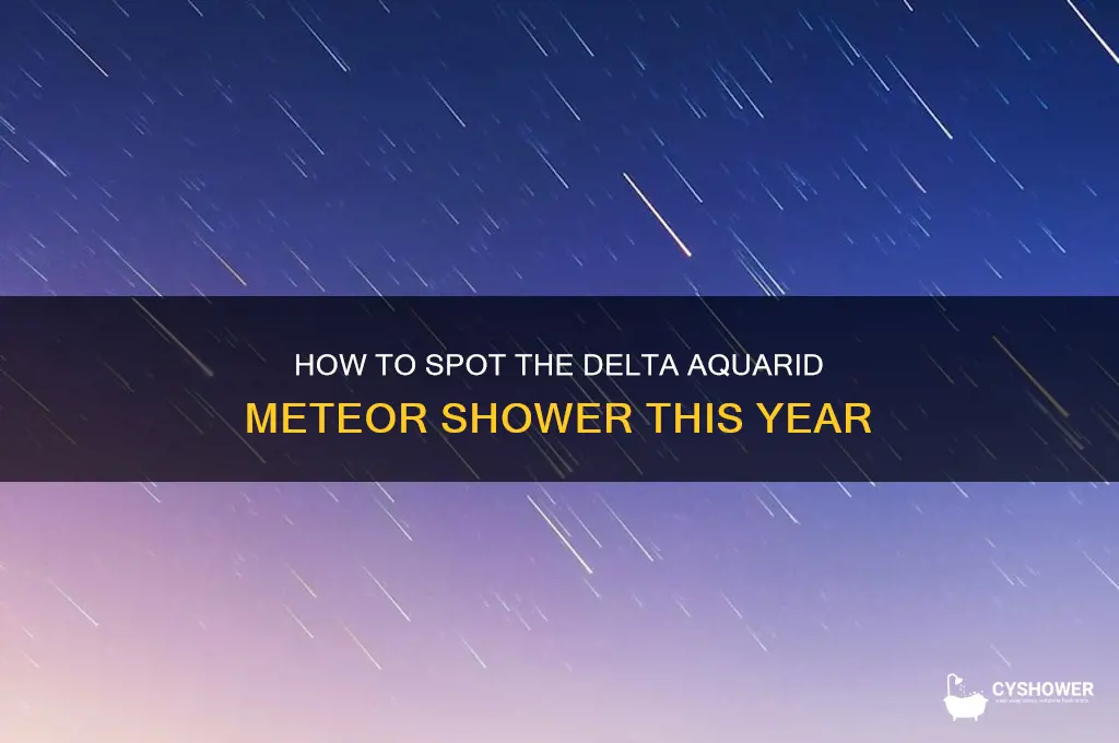 can you see delta aquarid meteor shower