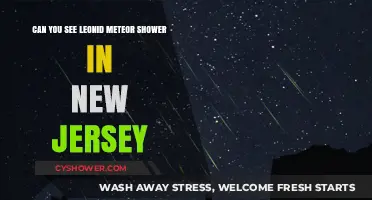 Spotting the Leonid Meteor Shower in New Jersey: Tips and Timing
