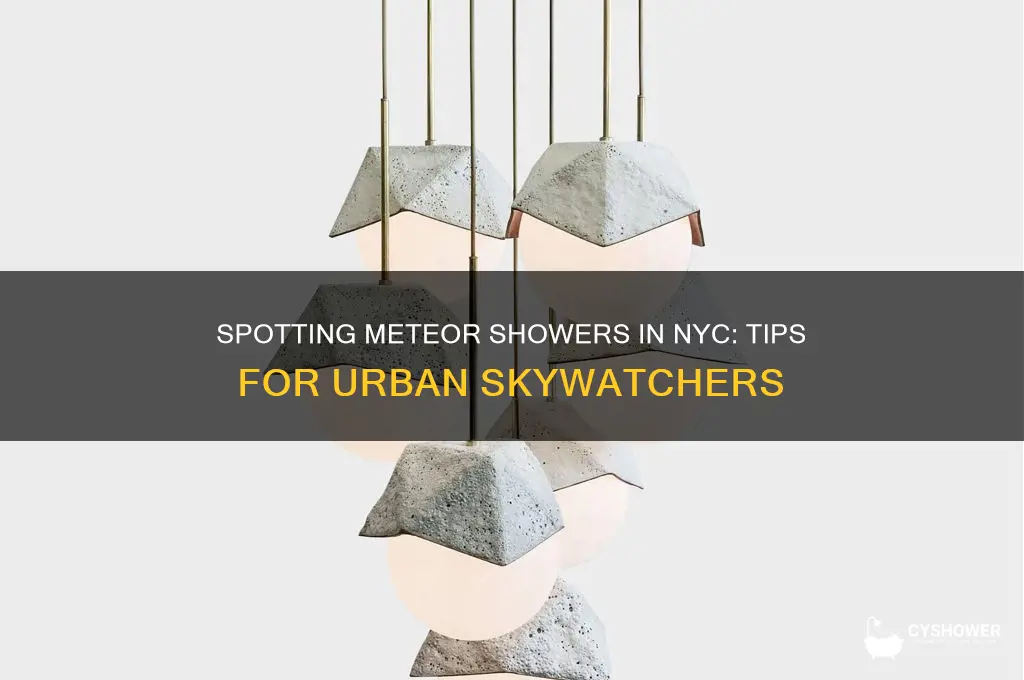 can you see meteor shower in nyc