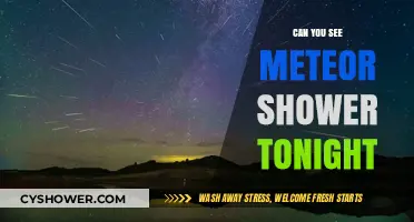Stargazing Tonight: How to Spot the Meteor Shower in the Sky