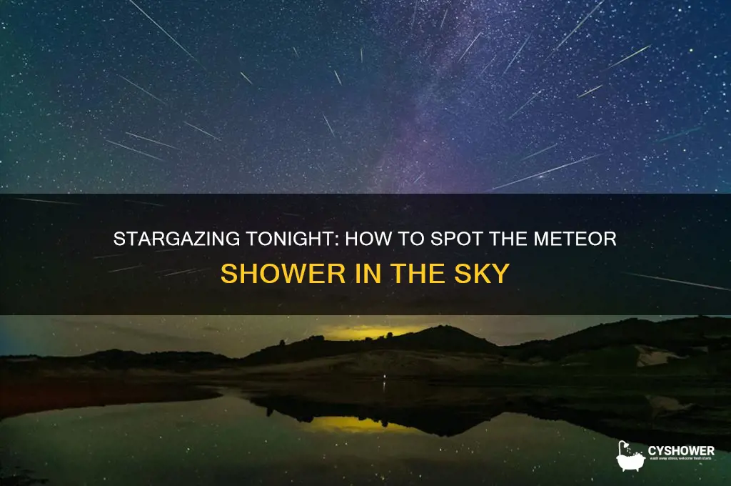 can you see meteor shower tonight