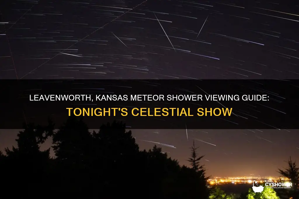 can you see meteor shower tonighti in leavenworth kansas