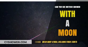 Moonlit Skies: Can You Spot Meteor Showers During Full Moon?