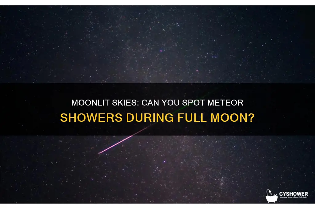 can you see meteor shower with a moon