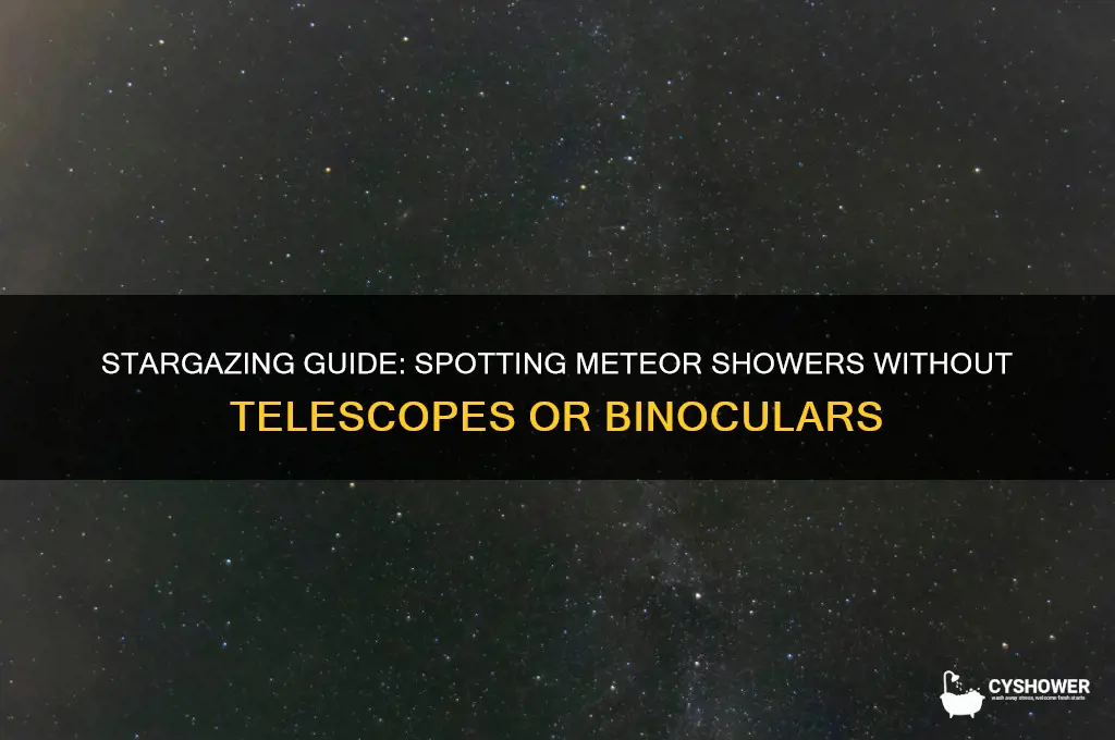 can you see meteor shower with naked eye
