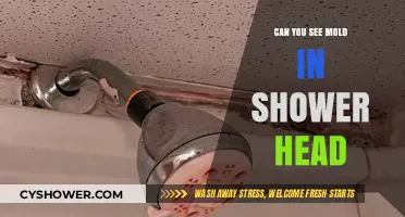 Hidden Mold in Your Shower Head: How to Spot and Clean It