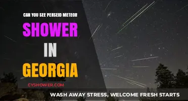 Spotting Perseid Meteor Shower in Georgia: A Stargazer's Guide