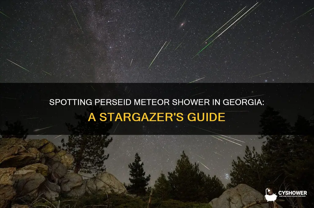 can you see perseid meteor shower in georgia