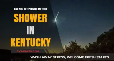 Kentucky Skies: Spotting the Perseid Meteor Shower This Year