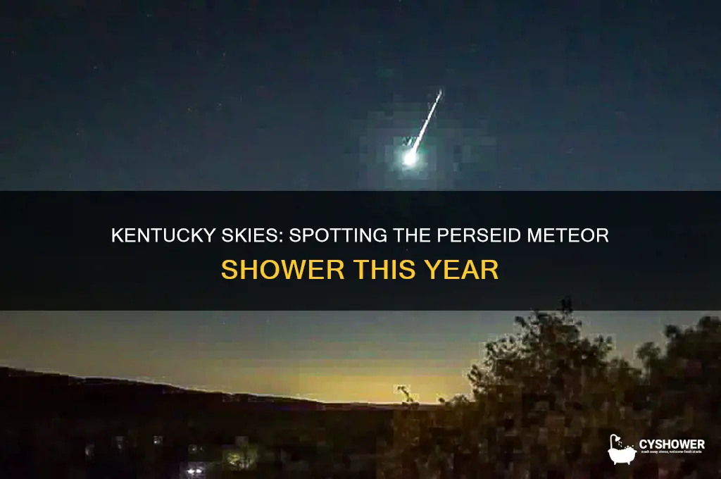 can you see perseid meteor shower in kentucky