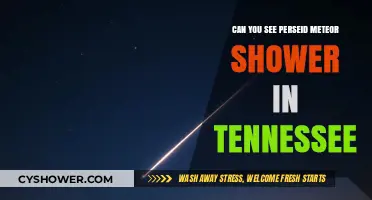 Tennessee Skies: Spotting the Perseid Meteor Shower This Year