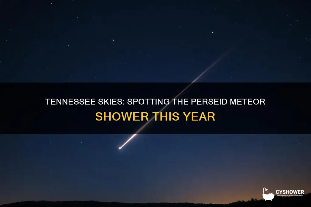 can you see perseid meteor shower in tennessee