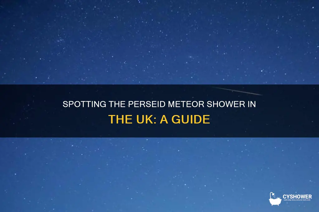 can you see perseid meteor shower in uk