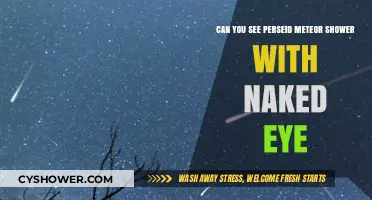 Watching Perseid Meteor Shower: Naked-Eye Visibility Tips and Best Practices
