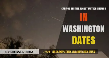 August Meteor Shower Viewing Dates in Washington State
