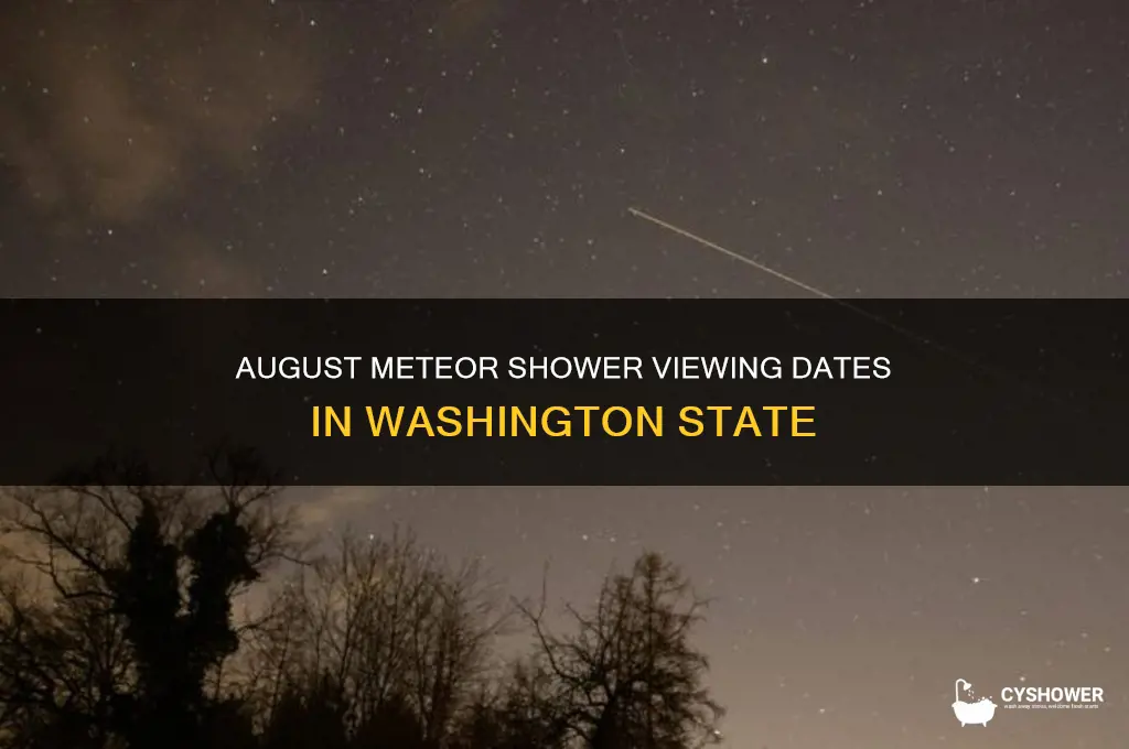 can you see the august meteor shower in washington dates