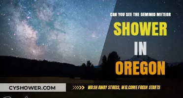 Geminid Meteor Shower in Oregon: Where and When to Watch